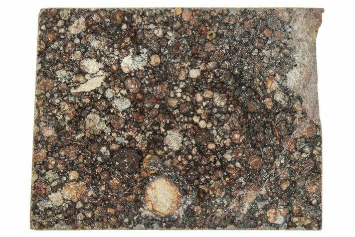 LL Chondrite Meteorite ( g) Slice - NWA #291404